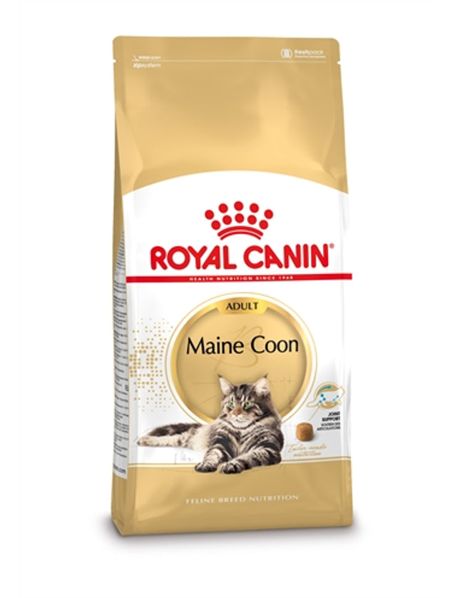 Royal Canin Maine Coon