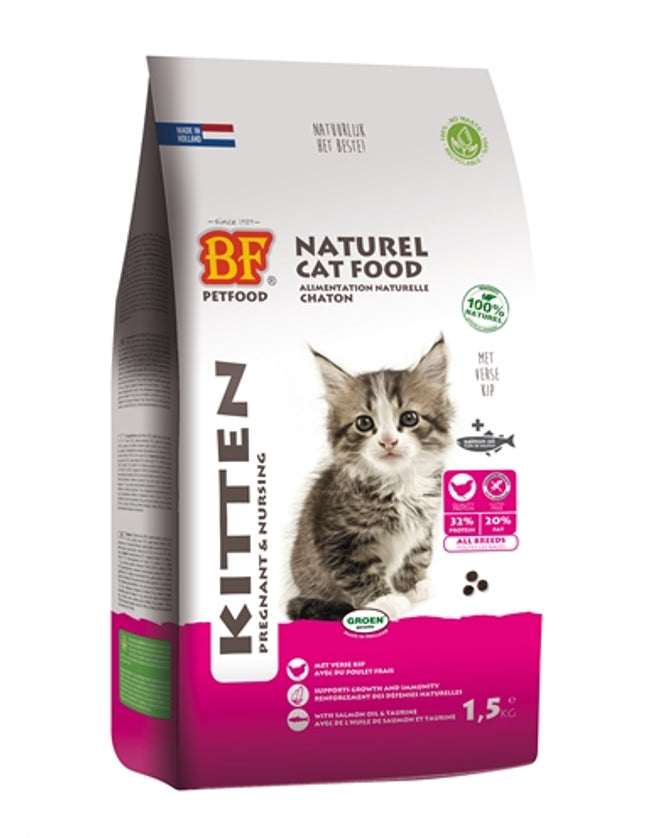 Bf Petfood Premium Quality Kat Kitten Pregnant / Nursing