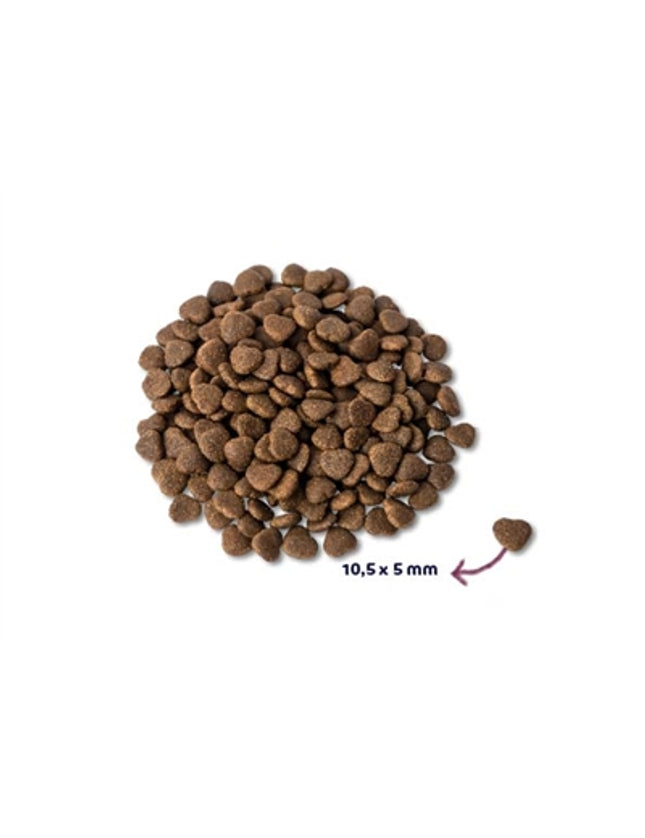 Renske Super Premium Adult Verse Zalm Graanvrij