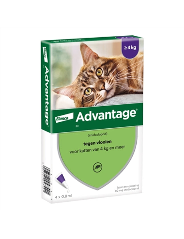 Elanco Advantage Kat
