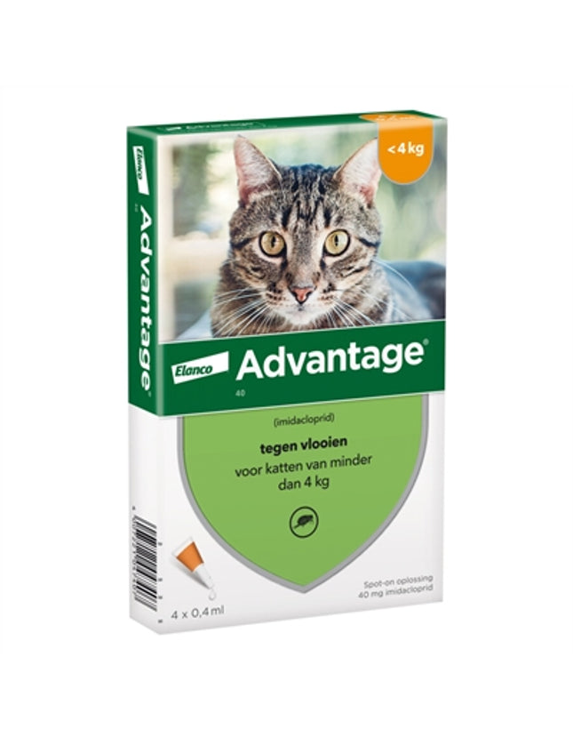 Elanco Advantage Kat