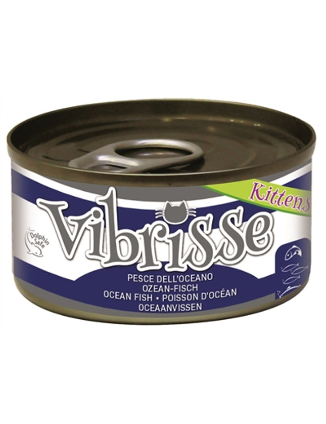 Vibrisse Kittens Cat Oceaanvis