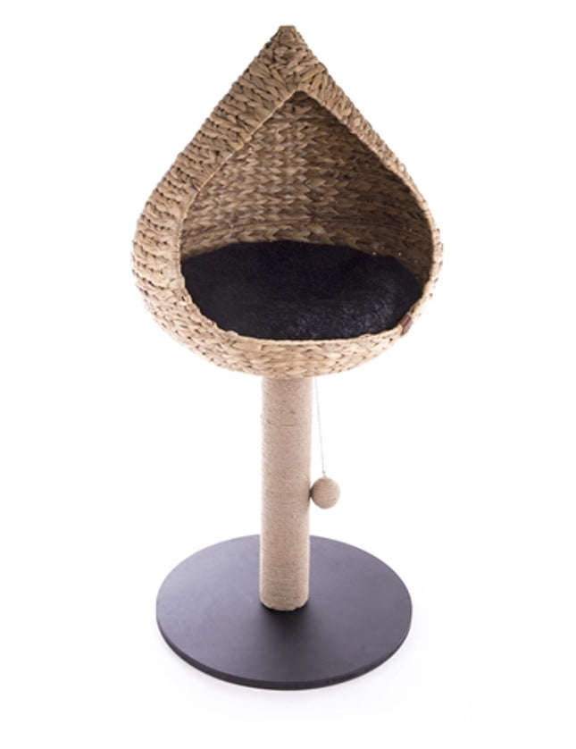 Martin Krabpaal Vietnam Met Mand Druppel Waterhyacint