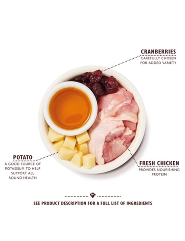 Lily's Kitchen Cat Adult Chicken Casserole