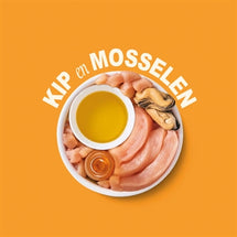 Lily's Kitchen Shredded Fillets Multipack