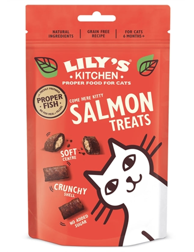 Lily's Kitchen Salmon Treats