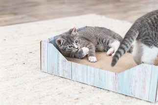 Trixie Krabmand Karton Catnip Turquoise