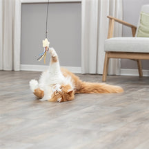 Trixie Kattenhengel Ster Kunststof / Pluche Met Catnip