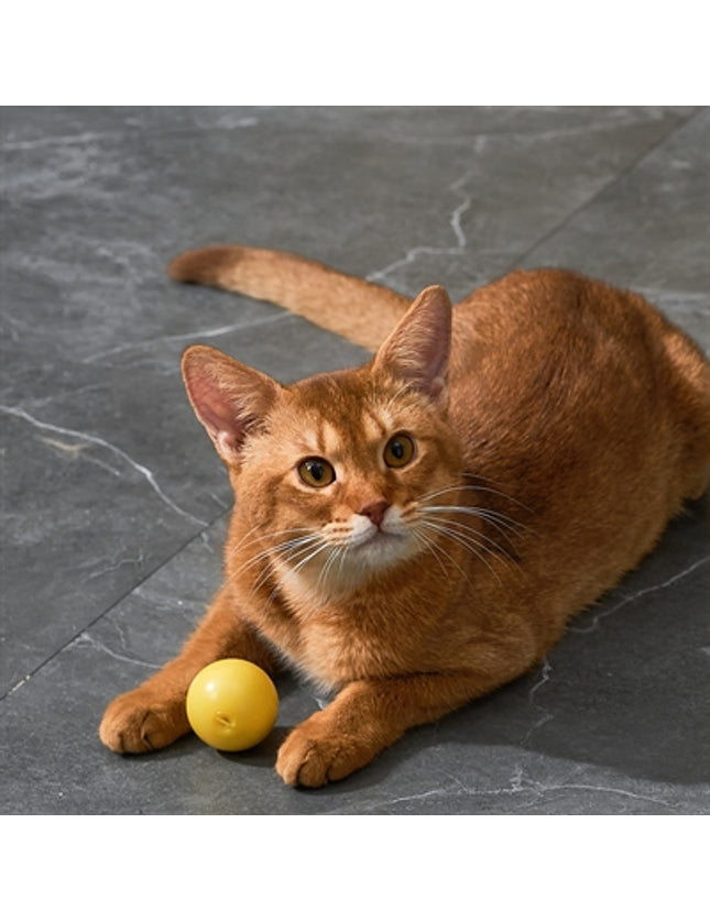 Eti Dynamische Speelbal Kat Assorti