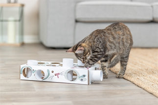 Trixie Cat Activity Paws'n'treats Box Karton