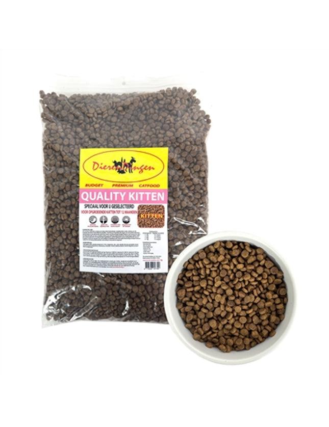 Budget Premium Quality Kitten