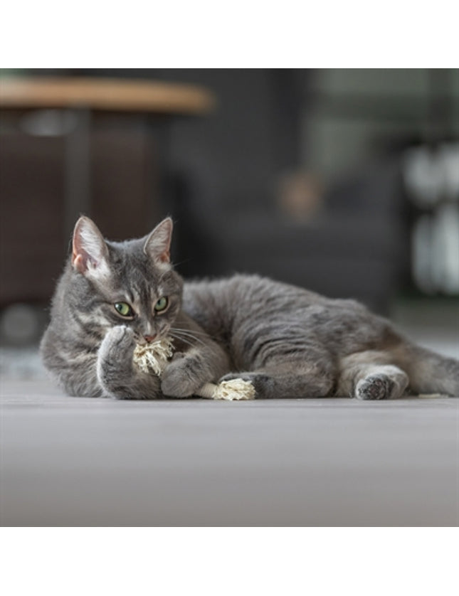 Trixie Speeltouw Met Franjes Assorti