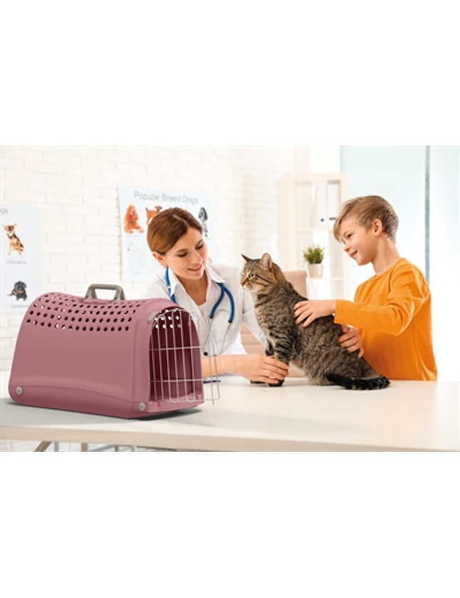 Imac Reismand Linus Roze